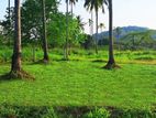 Land for Sale in Miriswaththa - S02