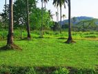 Land for Sale in Miriswaththa ,T32