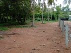 Land for Sale in Miriswatta, Gampaha