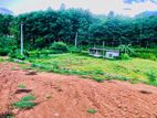 Land for Sale in Mitrigama
