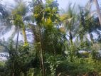 Land for Sale in මලවැන්න