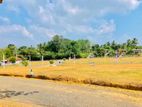 Land for Sale in මල්වත්ත