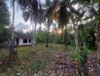 Land for Sale in Molligoda, Wadduwa