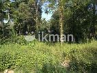 Land for Sale in Monaragala