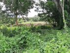 Land for Sale in Monaragala