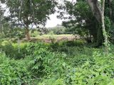 Land for Sale in Monaragala