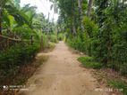 Land for Sale in Monaragala