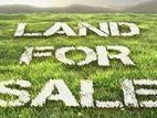 Land For Sale in Monaragala