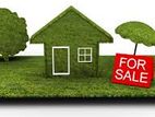 LAND FOR SALE IN MORATUVA{LS-676}