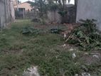 Land for sale in Moratuwa 5P