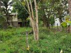 Land for Sale in Moratuwa