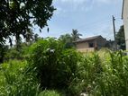 Land for Sale in Moratuwa