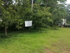 Land for Sale in Morawaka