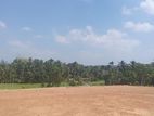 Land for Sale in මොරගහහේන