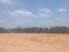 Land for Sale in මොරගහහේන