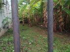 Land for Sale in Mount Lavinia