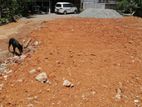 Land for Sale in Mount Lavinia