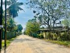 Land For sale in Mount Lavinia Highly Residential Location