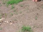 land for sale in mountlavaniya
