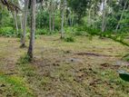 Land For Sale In Mountlavinia