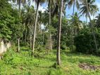 Land for Sale in Mudukatuwa, Marawila