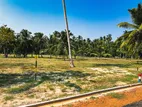 Land for Sale in Mudukatuwa Marawila