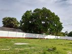 Land for Sale in Mullaitivu City