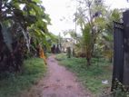 Land for Sale in Mulleriyawa, Angoda