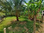 Land for Sale in Mulleriyawa Angoda