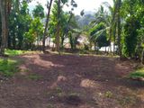Land for Sale in Mulleriyawa