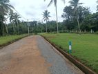 Land for sale in Munagama, Horana