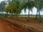 land for sale in Mungandaluwa, Halawata