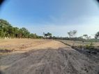 Land for Sale in මුන්ගන්දලුව, හලාවත