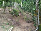 Land for Sale in Muruthalawa