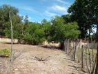 Land for Sale in Mylampavely
