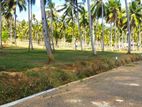 Land for sale in නාරම්මල