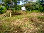 Land for Sale in Naarthupaana