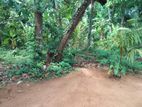 Land for sale in Nadagamuwa,Gampaha