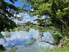 Land for Sale in Nagahamulla Road Thalawathugoda