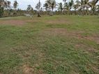 Land for sale in Nagoda, Kaluthara
