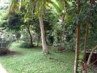 Land for Sale in Nailiya, Boyagan, Kurunegala