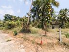 Land for sale in Naiwala / DU 11559