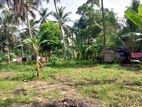 Land For Sale In Naiwala