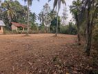 Land for sale in Naiwala
