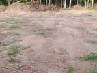 Land for sale in Naiwala