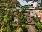 Land for sale in Naiwala
