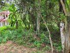 Land For Sale In Naiwala