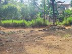 Land for sale in Naiwala