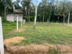 Land for Sale in Naiwala