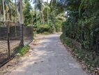 Land for Sale in Naiwala